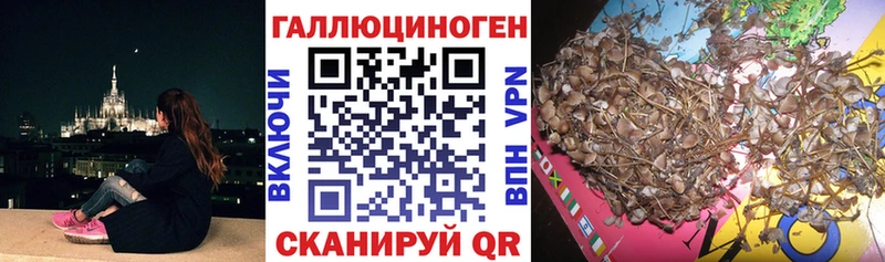 Псилоцибиновые грибы мицелий  Купить где  Усть-Катав 